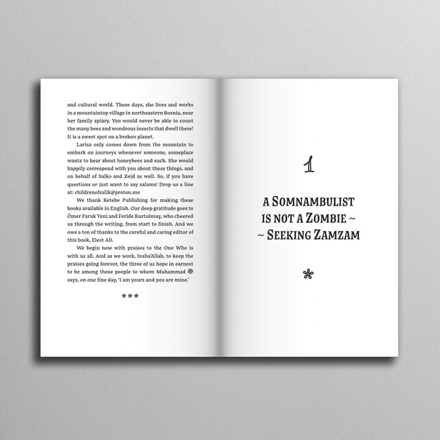 Children of Salik – Treasure Hunt (Book 1) - Thumbnail