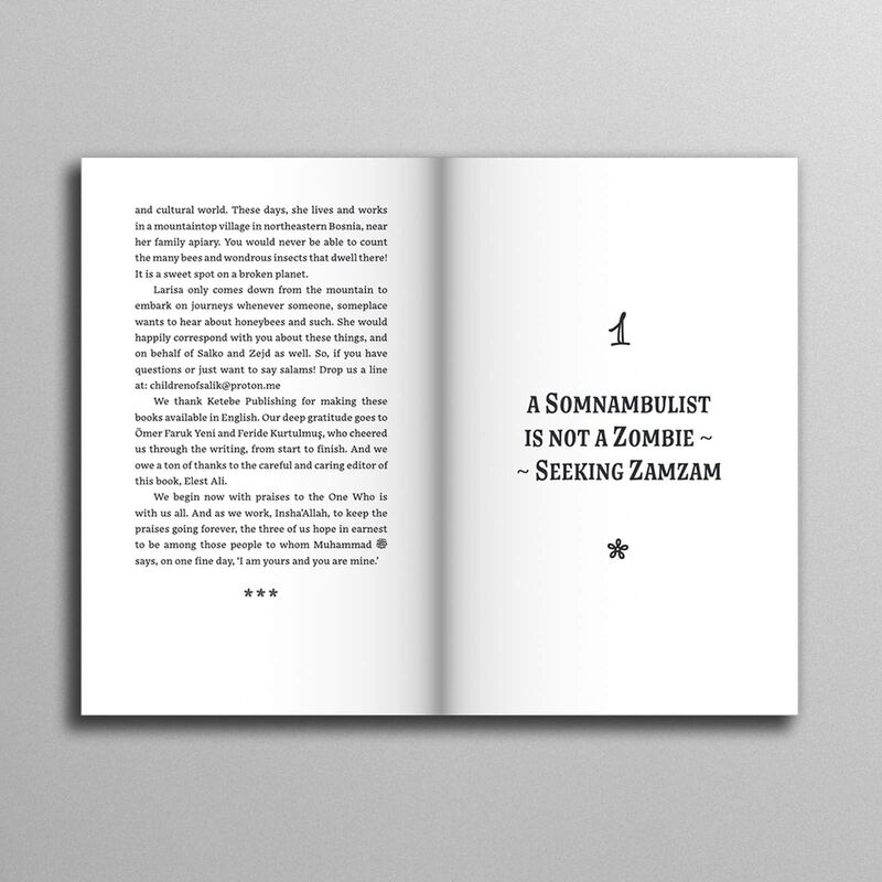 Children of Salik – Treasure Hunt (Book 1)