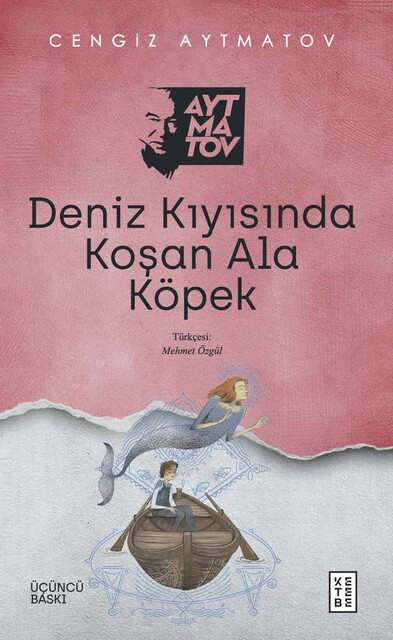 KETEBE - Deniz Kıyısında Koşan Ala Köpek