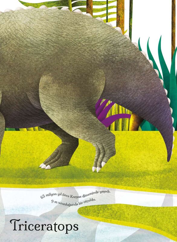 Devasa Dinozorların Büyük Kitabı & Minik Dinozorların Küçük Kitabı