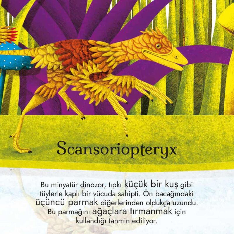 Devasa Dinozorların Büyük Kitabı & Minik Dinozorların Küçük Kitabı