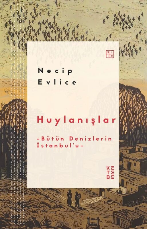 Huylanışlar
